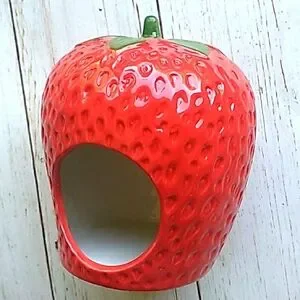 Small Pet strawberry hideout Hamster Guinea Pig