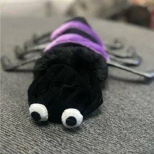 Spooky Cute Isty Bitsy Purple Plush Spider Dog Costume Halloween Small #0925094