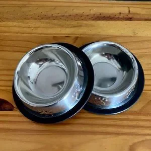 Stainless Steel Dog/Cat Non Slip Feeding Bowls - Set Of 2