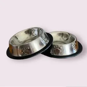 Stainless Steel Dog/Cat Non Slip Feeding Bowls - Set of 2