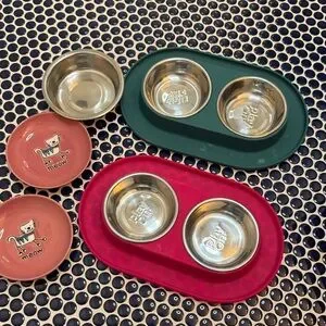 Stainless Steel Pet Bowl Set with Green and Pink Base