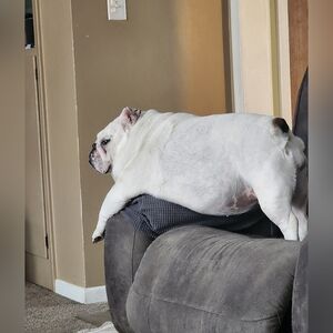 Stella-Bella's Tinder Pic & Bio