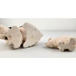 Stone Critters Mama & Piglet Pig Figurines HAMPSHIRE PIGS Farm Animal
