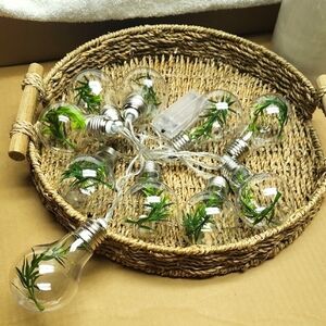 String Lights with Greenery Bulbs
