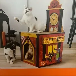 Target Hyde And EEK Boutique Cat Scratcher - Orange And Black