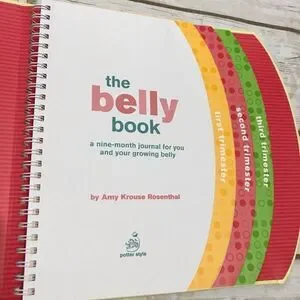 The Belly Book A Nine Month Pregnancy Journal