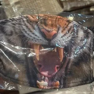 Tiger Face Mask