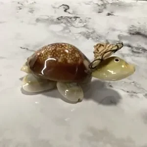 Tiny Shell Turtle W/Hat Hand Crafted EUC