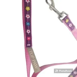 Top Paw Kitten Leash Purple Pink Flowers