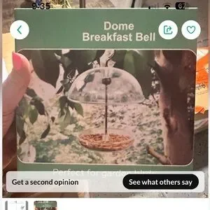 Transparent Dome Bird Feeder