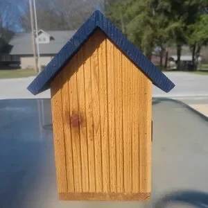 Truck Show Custom Made Brand New Bird House Amazing Detail & Color 11' By 11'