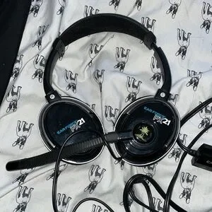 Turtle Beach