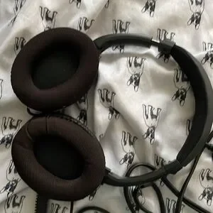 Turtle Beach