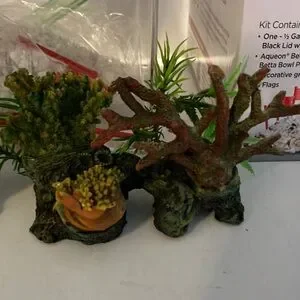 Two‎ Aqueon Betta Castle Aquarium Kits