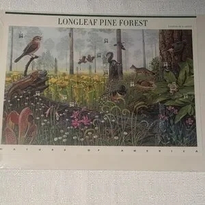 USPS COLLECTIBLE Longleaf Pine Forest Nature Poster CELLOPHANE WRAP USPS COLLECTIBLE Longleaf Pine Forest Nature Poster CELLOPHANE WRAP
