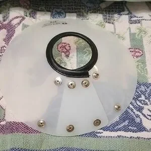 VetOne Clear Protective Cone Collar