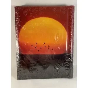 Vintage Magnetic Photo Albums Lot Of 2 Sunset And Gold Covers New Old Stock