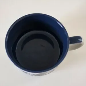 Vintage Otagiri Embossed Seahell Soup Mugs Set Of 2 1990s