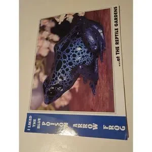 Vintage Post Card Blue Poison Arrow Dart Frog 90s Black Hills Reptile Garden‎