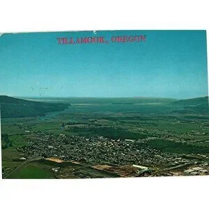 Vintage Tillamook Oregon Postcard West Coast Scenic Collectors Aerial