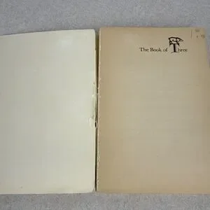Vitnage PRYDAIN CHRONICLES Lloyd Alexander 1970s Yellow Vol. 1-4