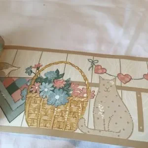 VTG 3.5 Inch Pre-pasted Wallpaper Boarder 3 Rolls 5 Yards Each CAT Border
