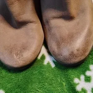 Women's Low Cut Heeled Boot