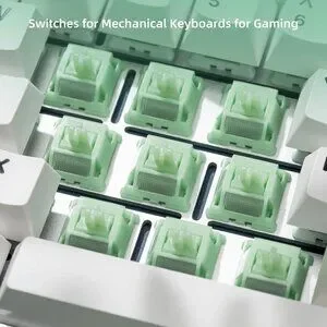 WS Jade Mechanical Keyboard Switches 5 Pins PCB Mount Lubed Switches(35pcs)